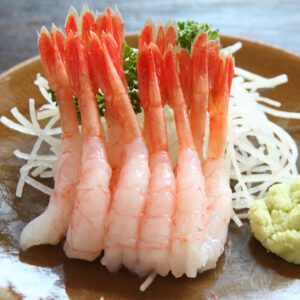 northern shrimp