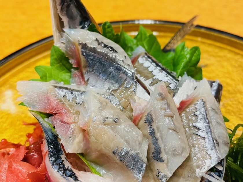 pacific saury sashimi