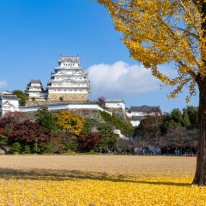 Himeji castle