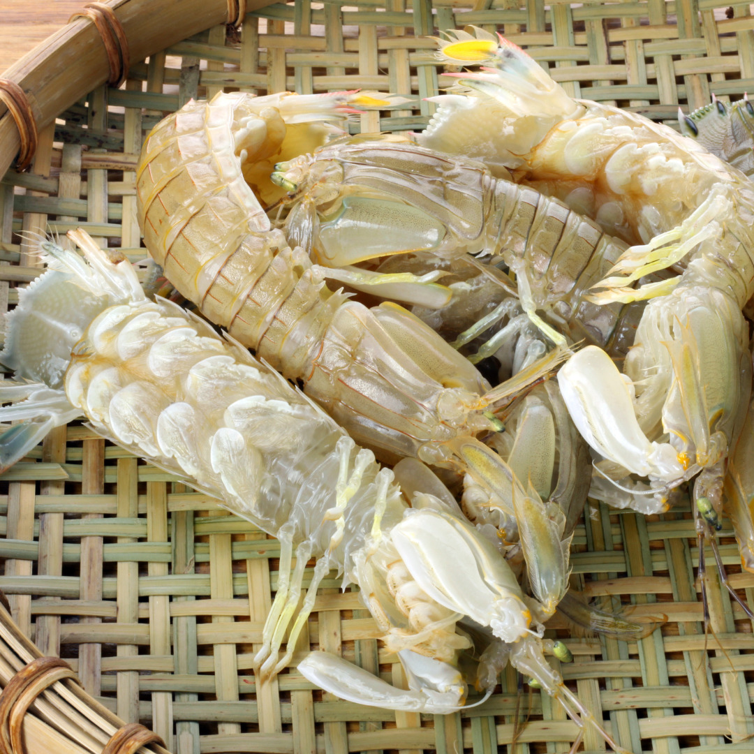 Delicious season for 300 seafood in Japan (English)