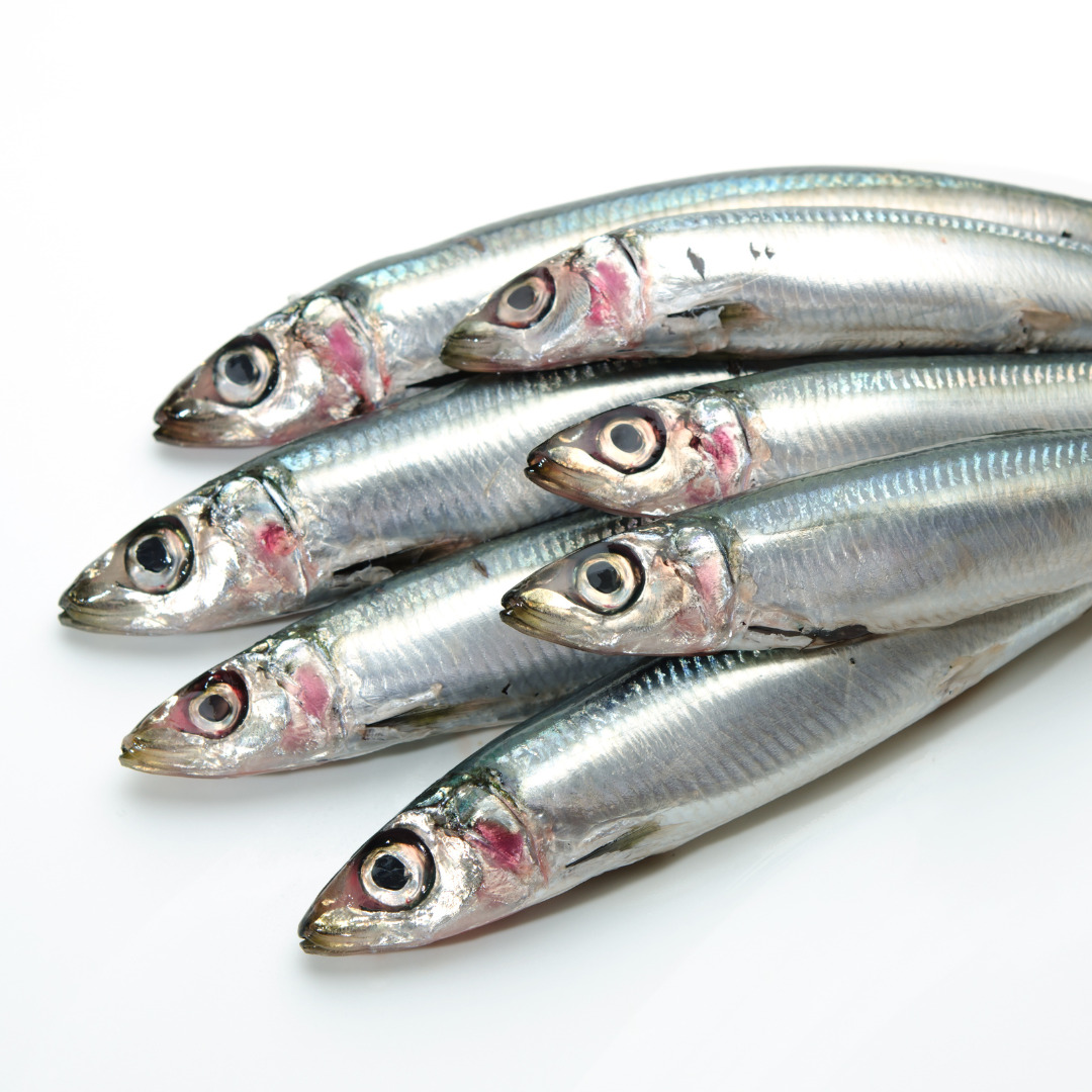 Delicious season for 300 seafood in Japan (English)