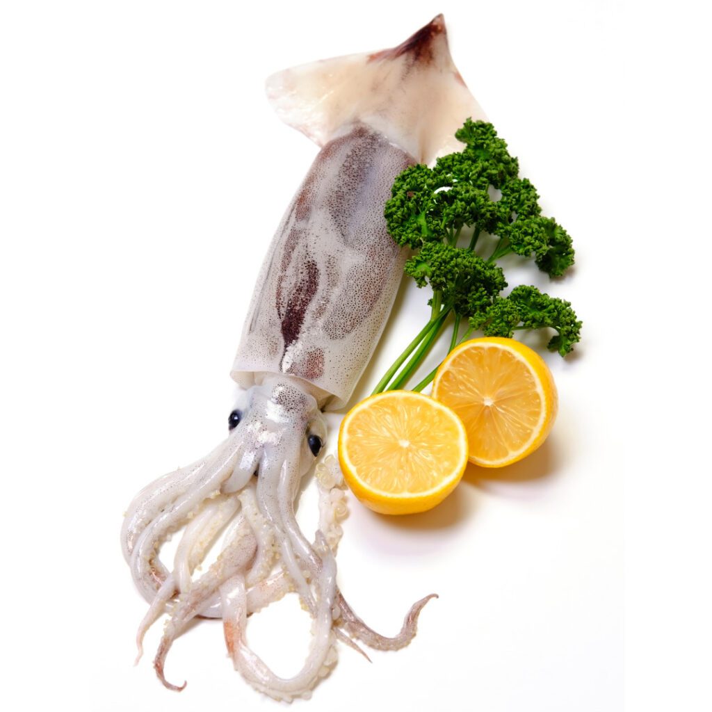 Japanese Seafood in Season (AprJun, Traditional Chinese)