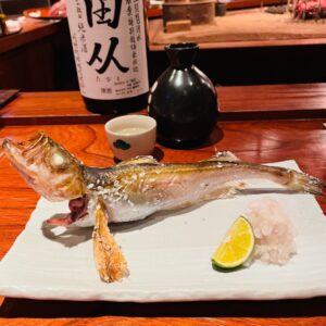 Japanese sandfish