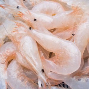 Japanese glass shrimp