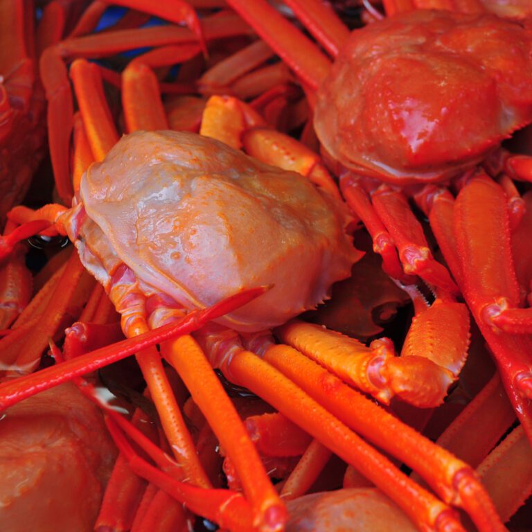 Japanese Seafood in Season (AprJun, Traditional Chinese)