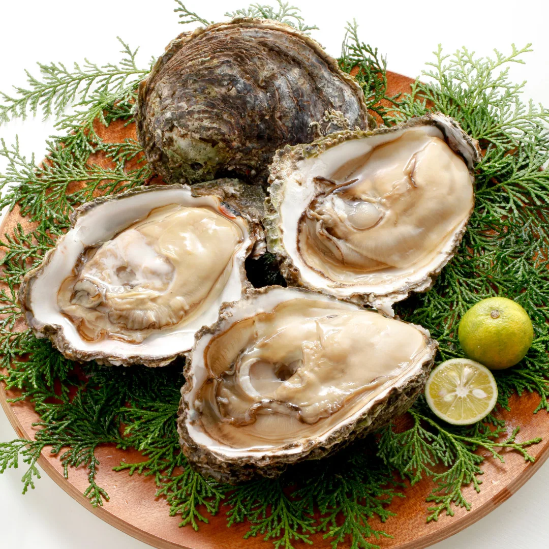 Rock-oyster