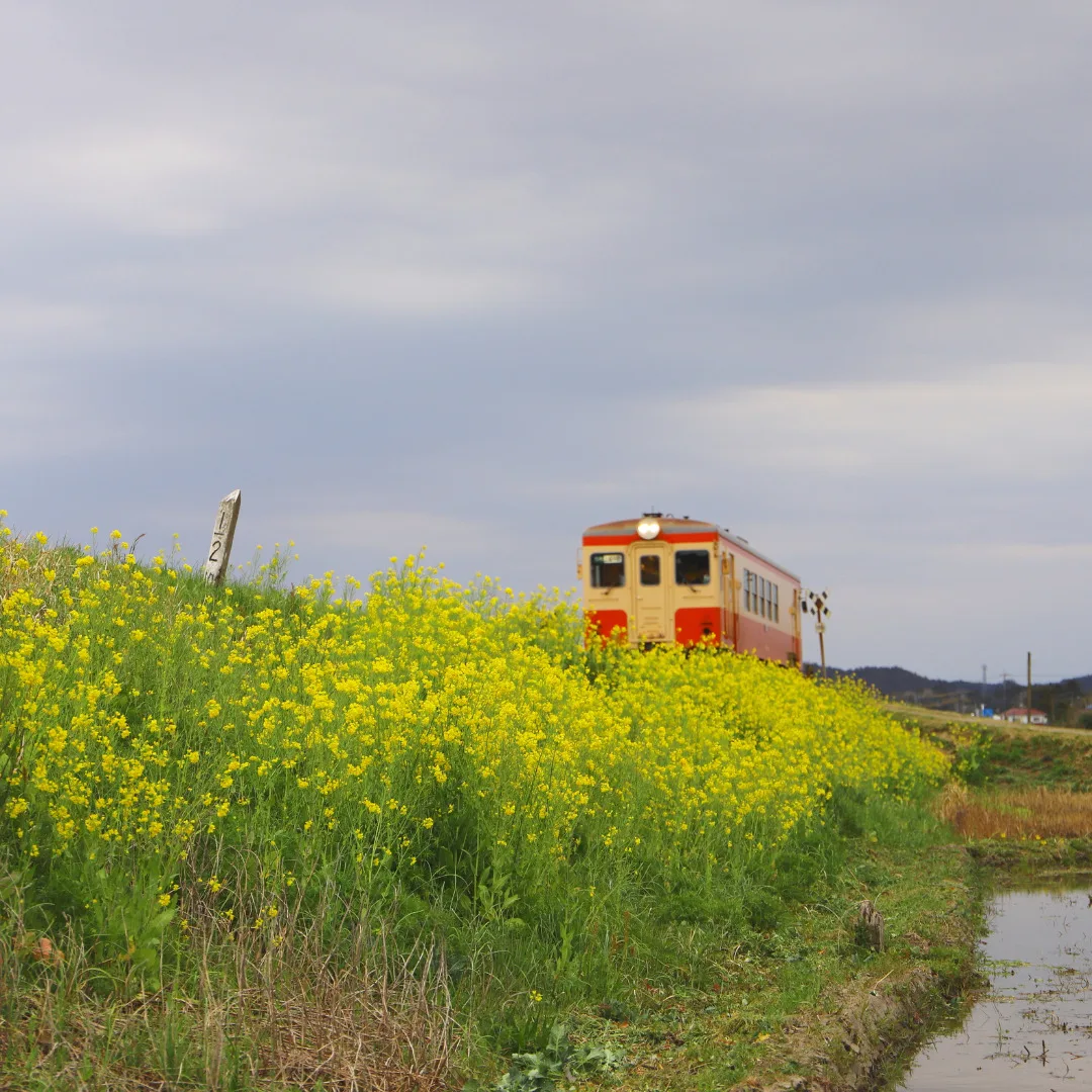 isumi railway
