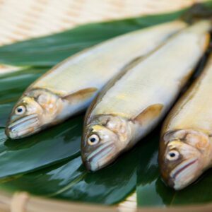 6月に旬を迎える魚介類 - 鮎、梶木マグロ、魳、カワハギ、間八、鱚、鱸、泥鰌、飛魚がランクイン