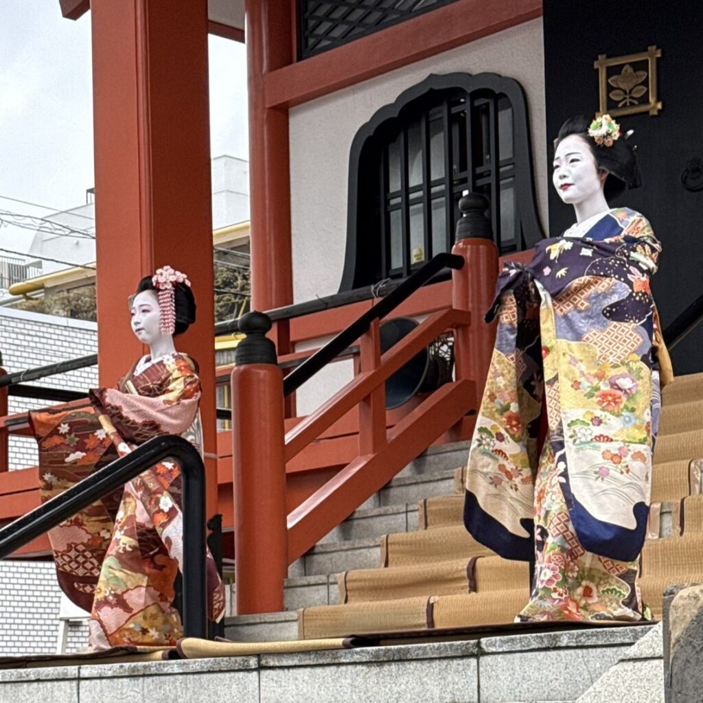 IMG_2149sq-1024x1024.jpeg