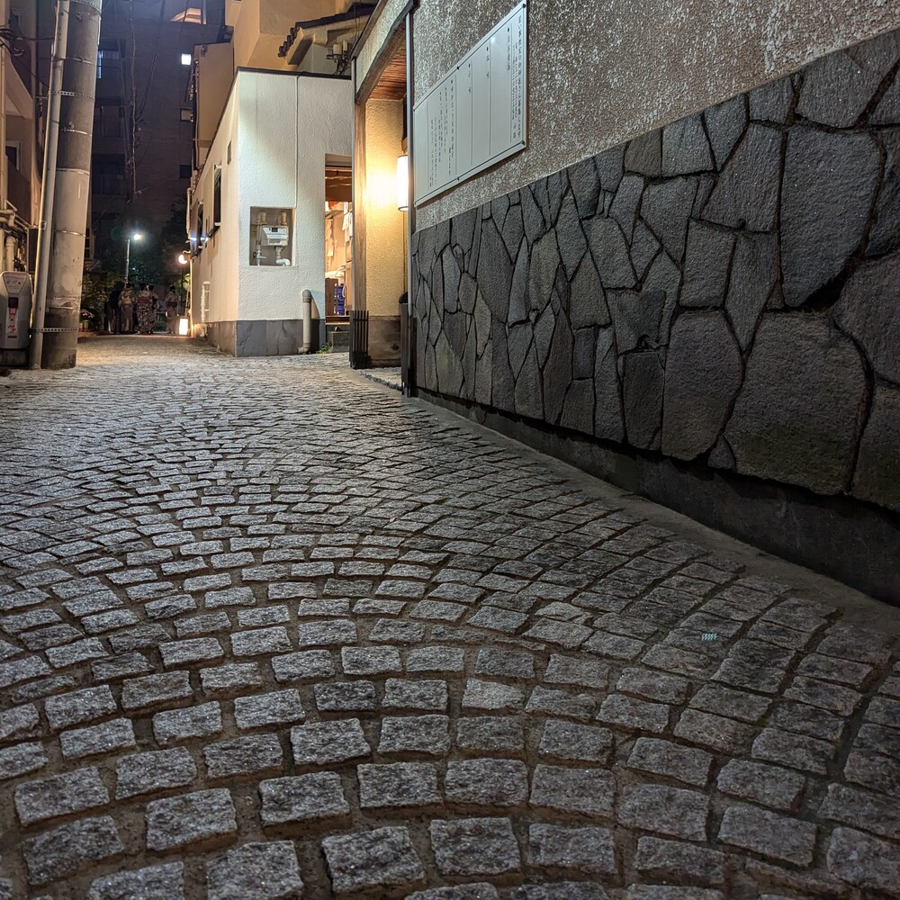 お座敷遊びは何が楽しい?人生で一度は体験したい、粋な大人の花柳界。東京・神楽坂の初心者向け安心ガイド